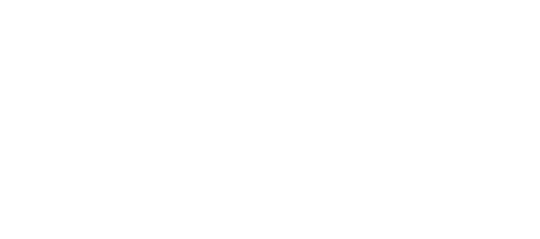 Valoriser sa raison d'être — Mieux se connaître pour mieux collaborer — TTI Success Insights